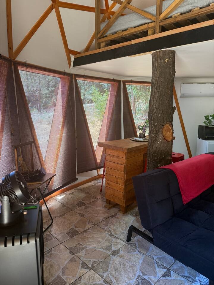 Detalle del Árbol Interior