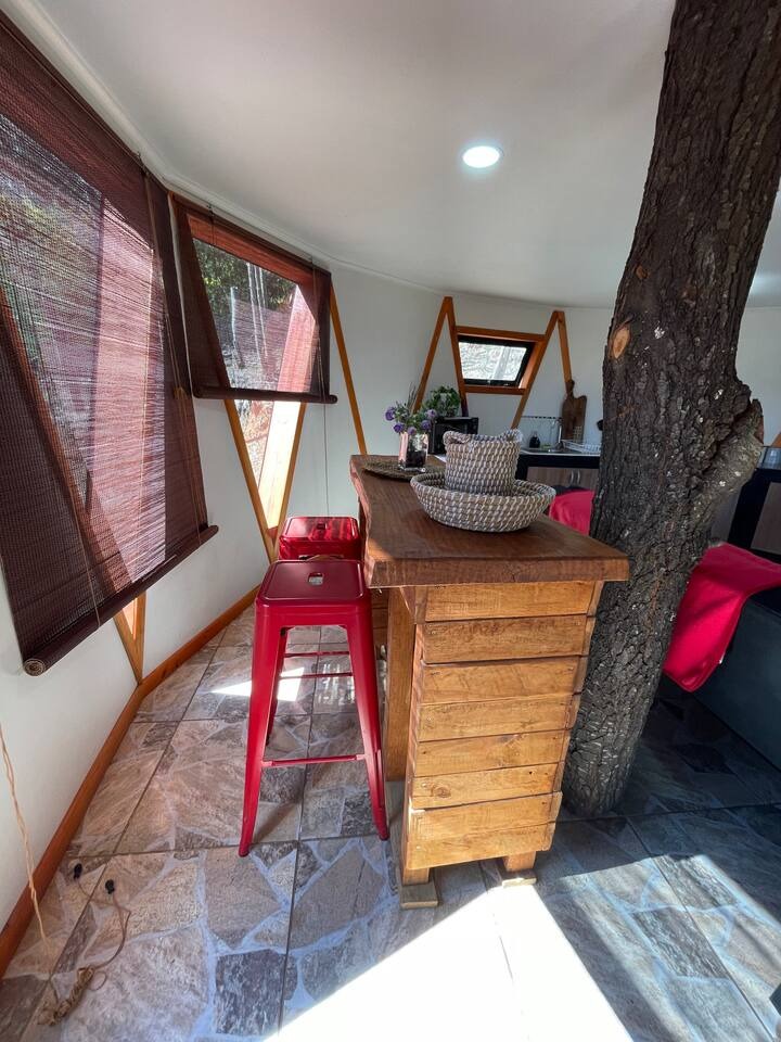 Barra de Madera y Árbol